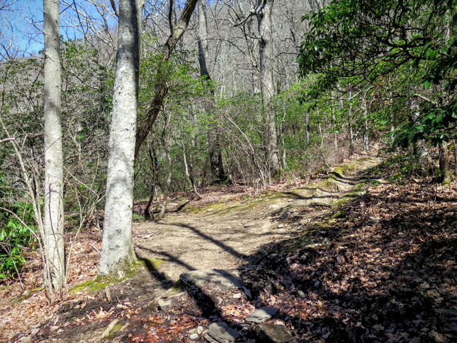 Picture 25 of Lane Pinnacle Hike 040316