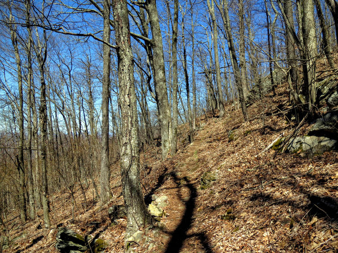 Picture 26 of Lane Pinnacle Hike 040316