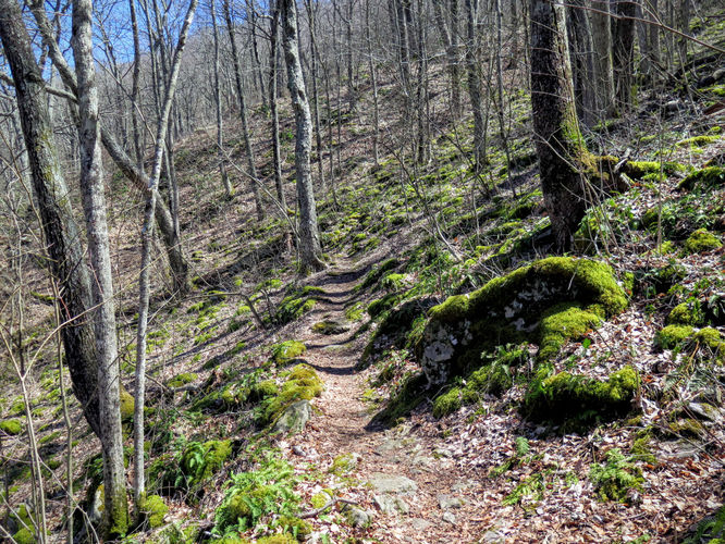Picture 27 of Lane Pinnacle Hike 040316