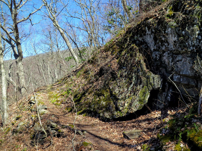 Picture 28 of Lane Pinnacle Hike 040316