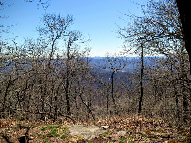 Picture 30 of Lane Pinnacle Hike 040316