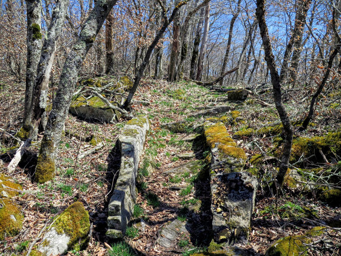 Picture 31 of Lane Pinnacle Hike 040316