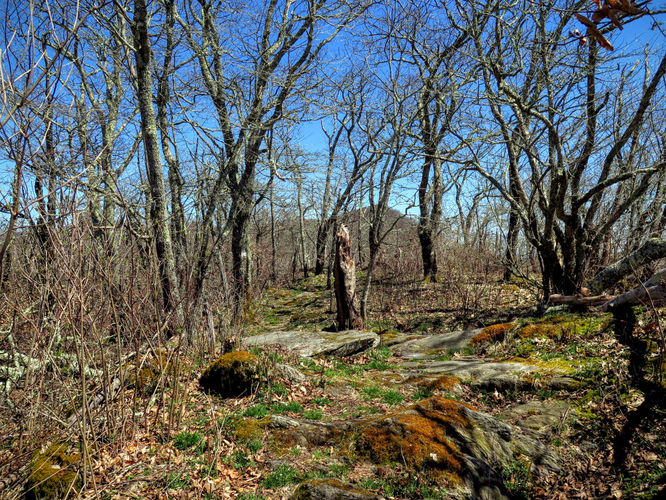 Picture 32 of Lane Pinnacle Hike 040316