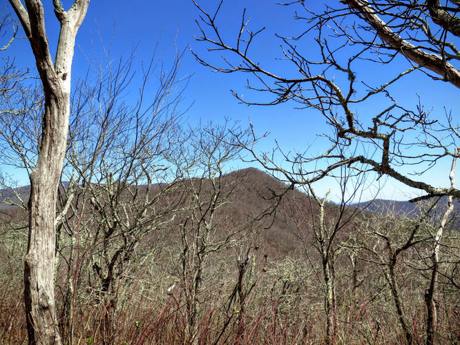 Picture 33 of Lane Pinnacle Hike 040316