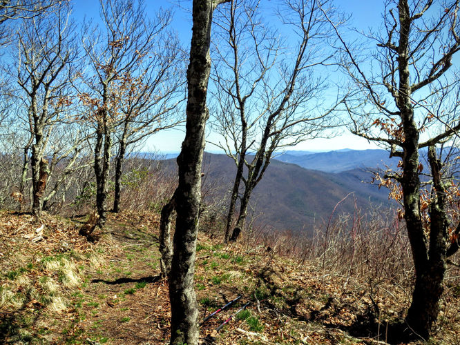 Picture 35 of Lane Pinnacle Hike 040316