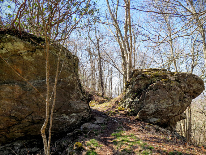 Picture 42 of Lane Pinnacle Hike 040316