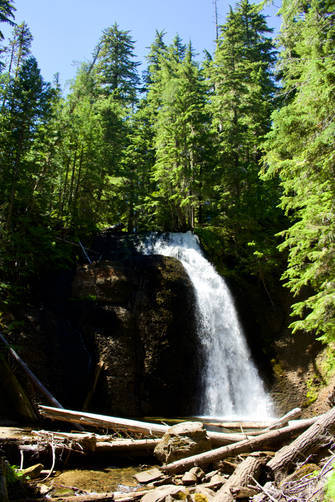 Picture 6 of Langfield Falls