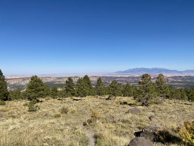 Larb Hollow Vista in Dixie National Forest