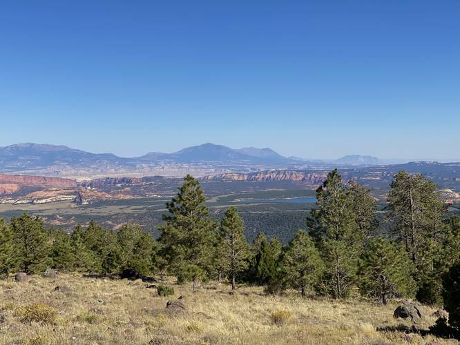 Larb Hollow Vista in Dixie National Forest