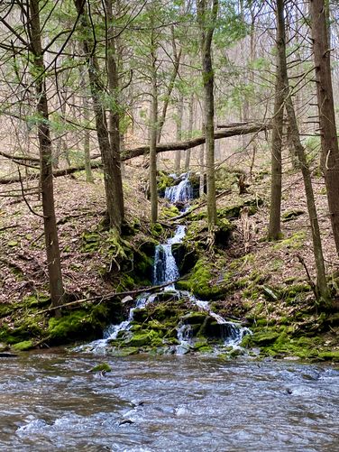 ~15-foot tall multi-tiered waterfall (off-trail)