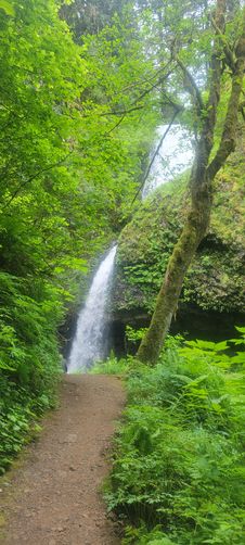 Picture 4 of Latourell Falls