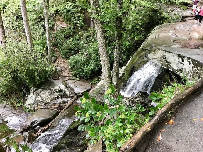 Laurel Falls spilling further downhill