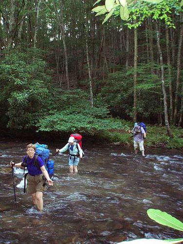 Picture 2 of Laurel Fork Hike 070106