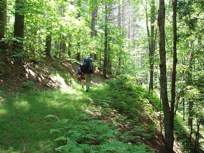 Picture 34 of Laurel Fork Hike 070106