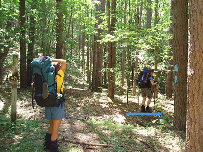 Picture 26 of Laurel Fork Hike 070106