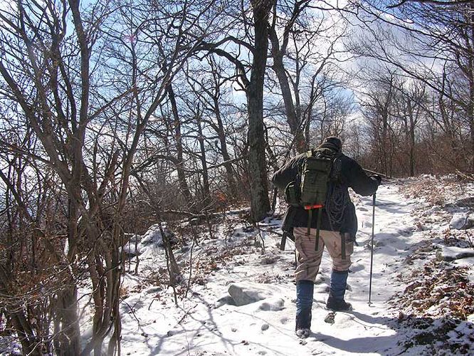 Picture 4 of Laurel Run Gusty Point Hike 020307