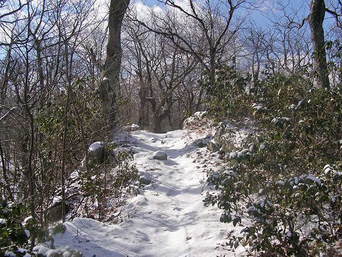 Picture 3 of Laurel Run Gusty Point Hike 020307