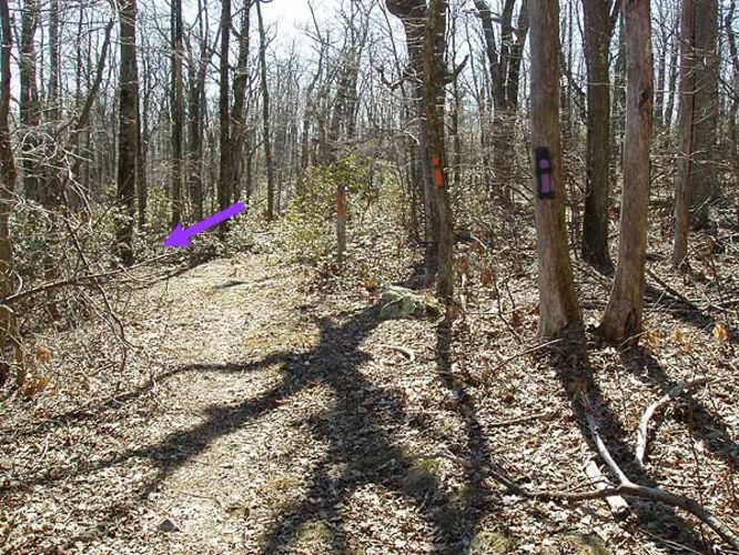 Picture 5 of Laurel Run Gusty Point Hike 031304