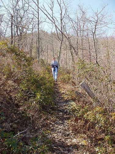 Picture 7 of Laurel Run Gusty Point Hike 031304