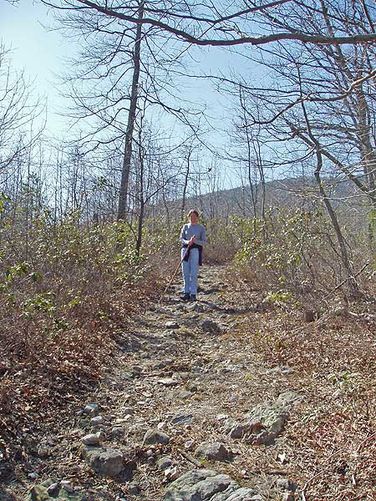 Picture 8 of Laurel Run Gusty Point Hike 031304