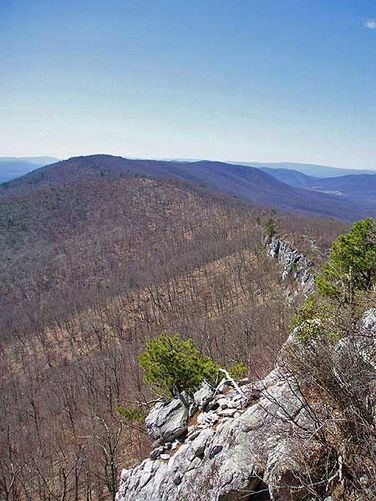 Picture 4 of Laurel Run Gusty Point Hike 031806