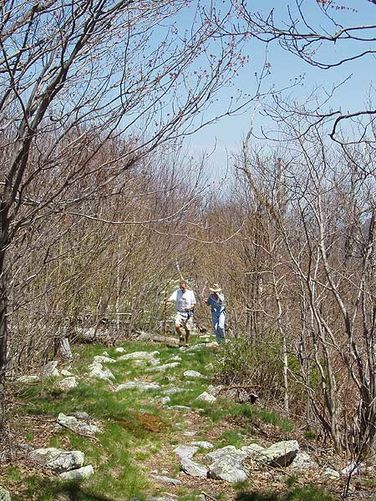 Picture 9 of Laurel Run Gusty Point Hike 042404