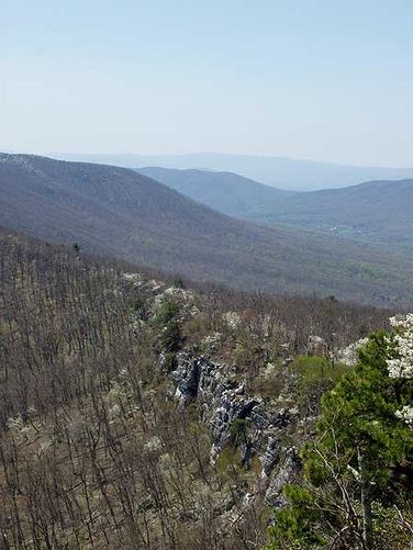 Picture 4 of Laurel Run Gusty Point Hike 042404