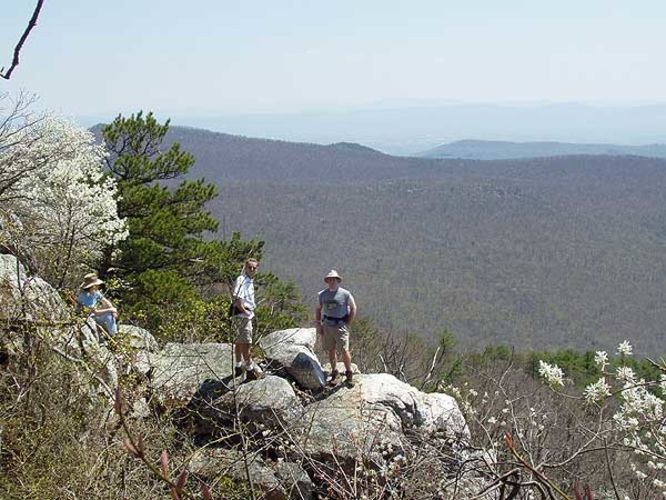 Picture 6 of Laurel Run Gusty Point Hike 042404
