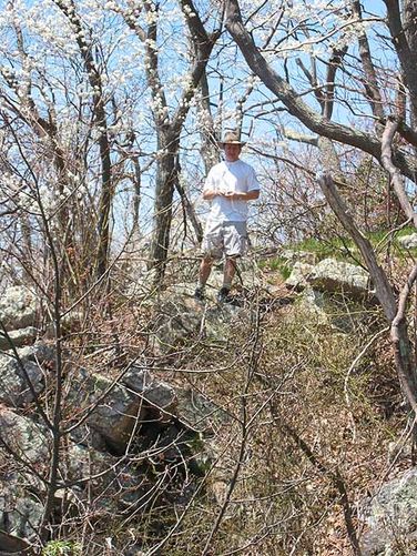 Picture 8 of Laurel Run Gusty Point Hike 042404