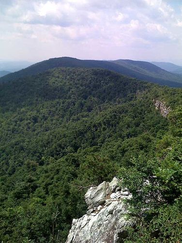Picture 4 of Laurel Run Gusty Point Hike 071407