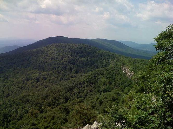 Default image for Laurel Run and Gusty Point Hike, a 7.5-mile trail in Basye, VA (US)