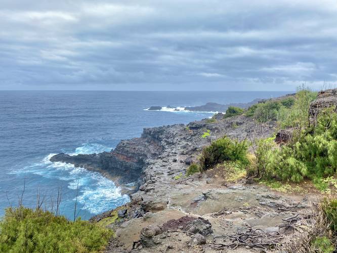 View of Nakalele Point
