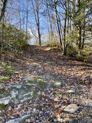 Trail heads up a short steep hill