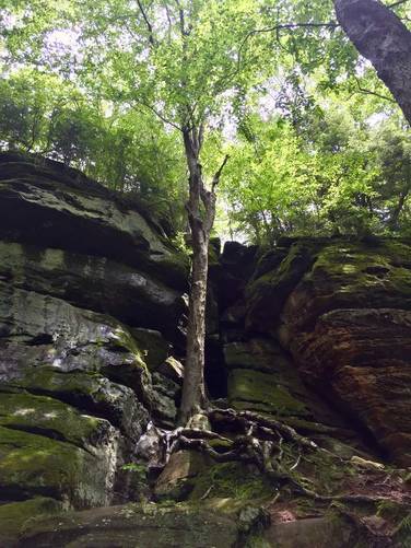 Picture 2 of Ledges Loop