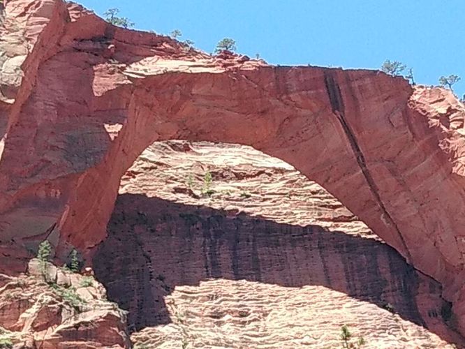 Default image for Lee Pass to Kolob Arch, a 14.4-mile trail in New Harmony, UT (US)