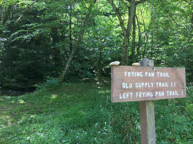 Eastern trailhead and parking are for Left Branch Asaph Run Trail