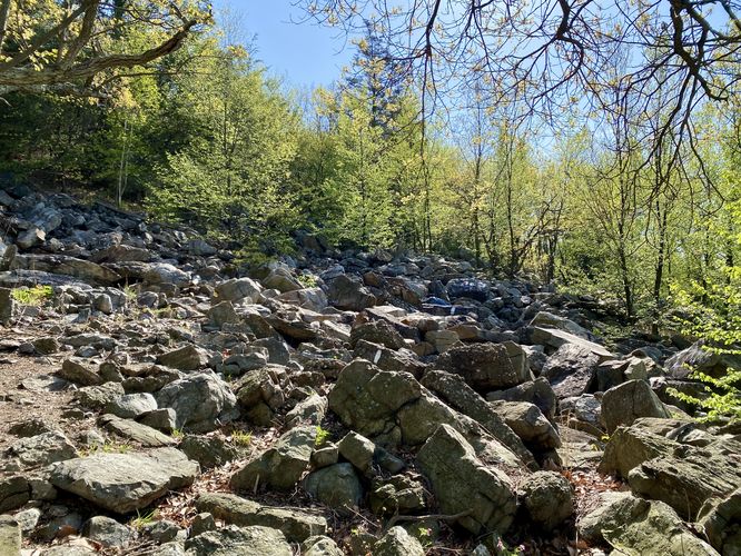 Boulder fields begin