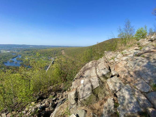 Scrambling view