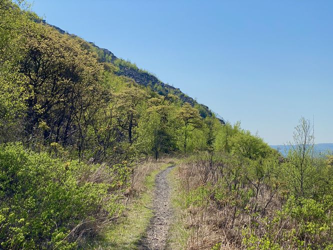 Hiking the Winter Trail along the flat section, passing the rock slide area