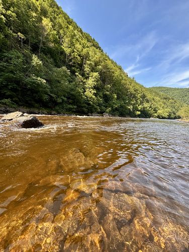 Picture 4 of LehighGorge Aug2025
