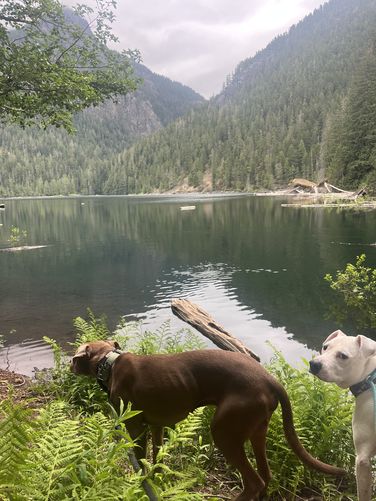 Picture 24 of Lena Lake Hike