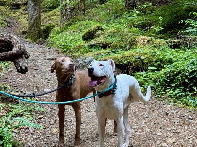 Picture 8 of Lena Lake Hike