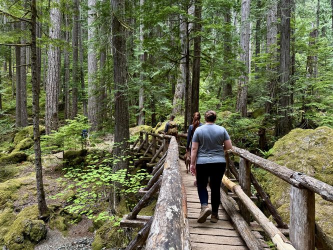 Lena Creek Footbridge