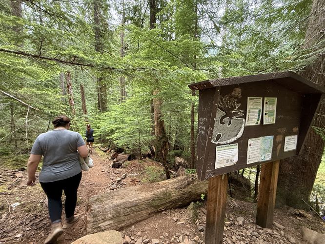 Picture 16 of Lena Lake Hike