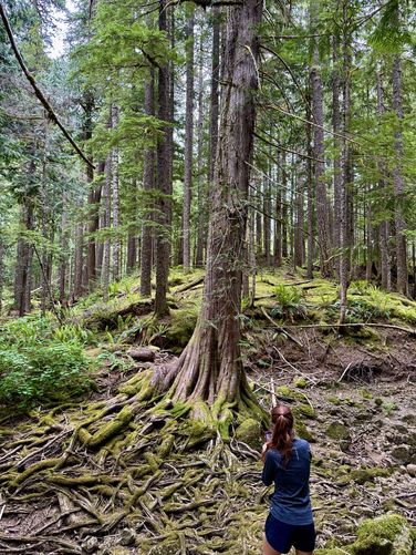 Picture 17 of Lena Lake Hike