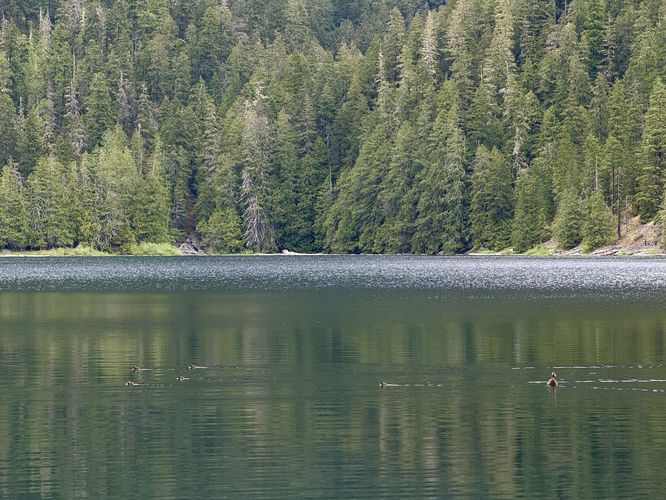 Picture 20 of Lena Lake Hike