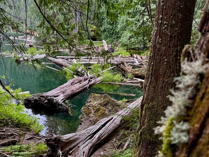 Turquoise waters of Lena Lake