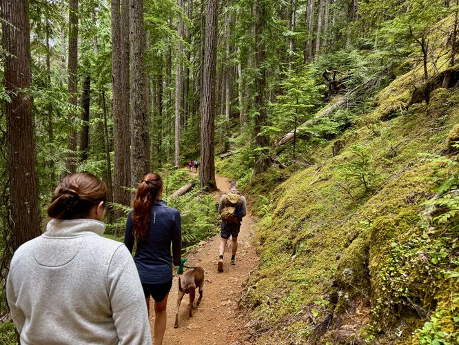 Picture 33 of Lena Lake Hike