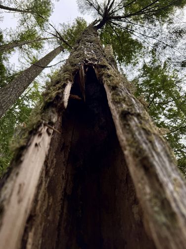 Picture 40 of Lena Lake Hike
