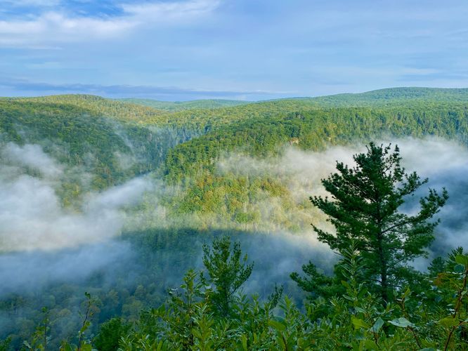 Default image for Leonard Harrison Main Lookout Trail, a 0.2-mile trail in Wellsboro, PA (US)